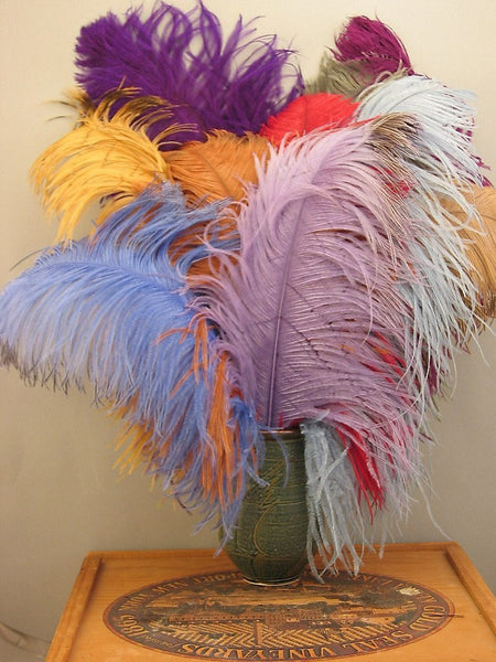 Single Plume Feather Hat Pin - White - Tall Toad