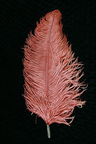 Single Plume Feather Hat Pin - Cinnamon - Tall Toad