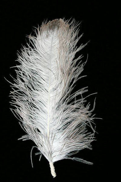 Single Plume Feather Hat Pin - Natural - Tall Toad