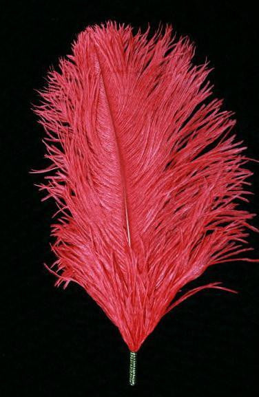Single Plume Feather Hat Pin - Red - Tall Toad